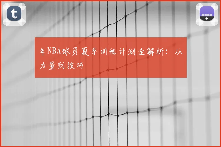 年NBA球员夏季训练计划全解析:从力量到技巧